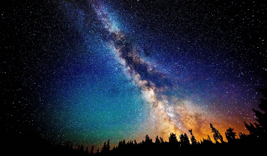 Млечный путь в звездном небе над лесом 