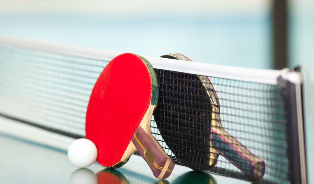Ракетки для настольного тенниса у сетки  