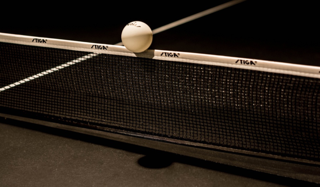 Мяч для настольного тенниса на сетке 