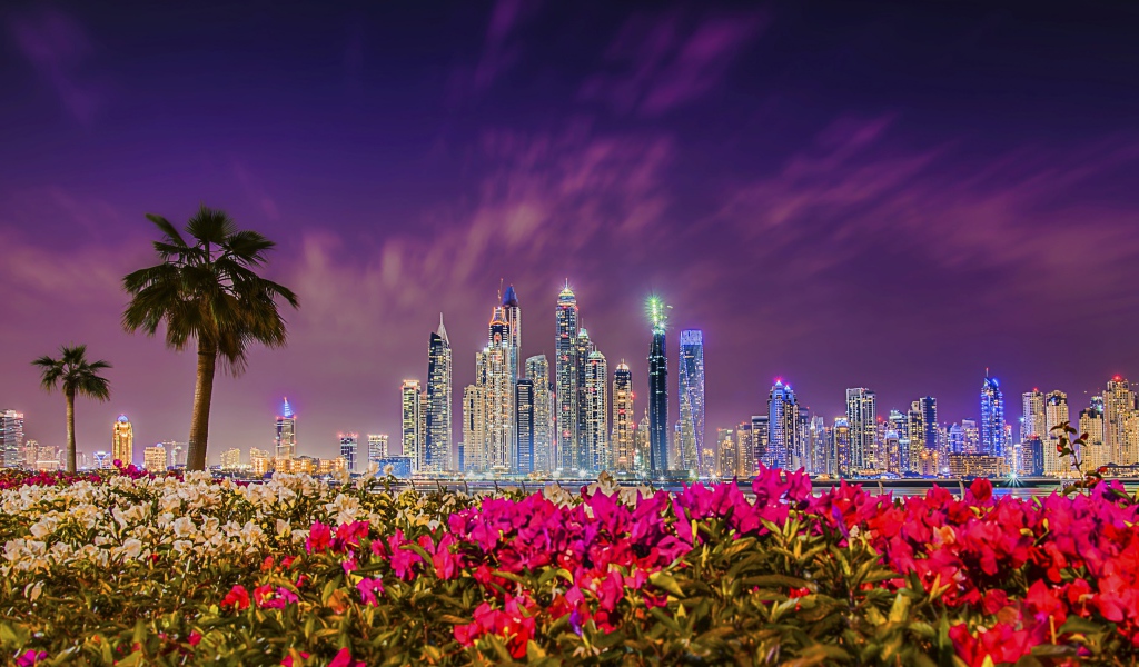 Вид на ночные небоскребы Дубая 