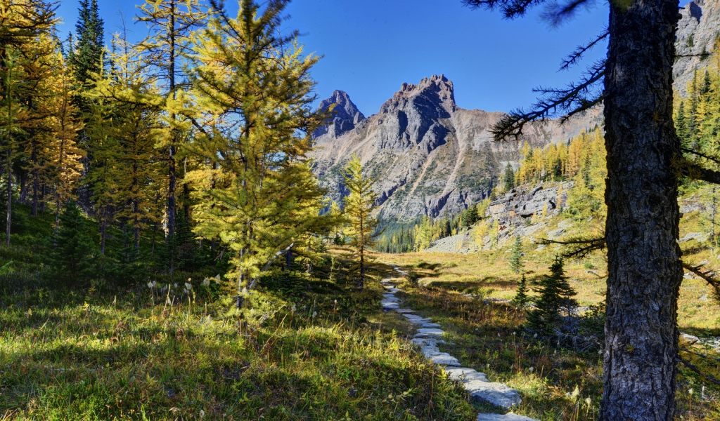 Пейзаж в живописном национальном парке Йохо, Канада 