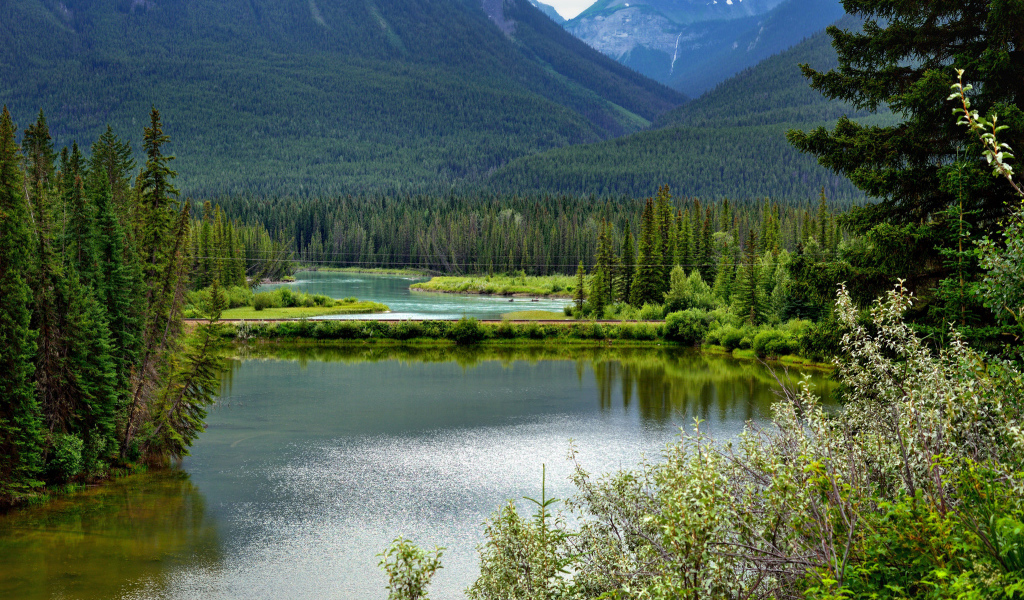 Живописный национальный парк Вуд-Баффало, Канада 