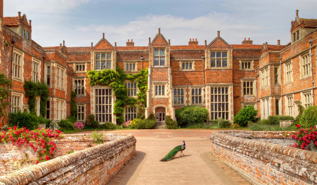 Павлин у дворца Кентуэлл Холл, Англия