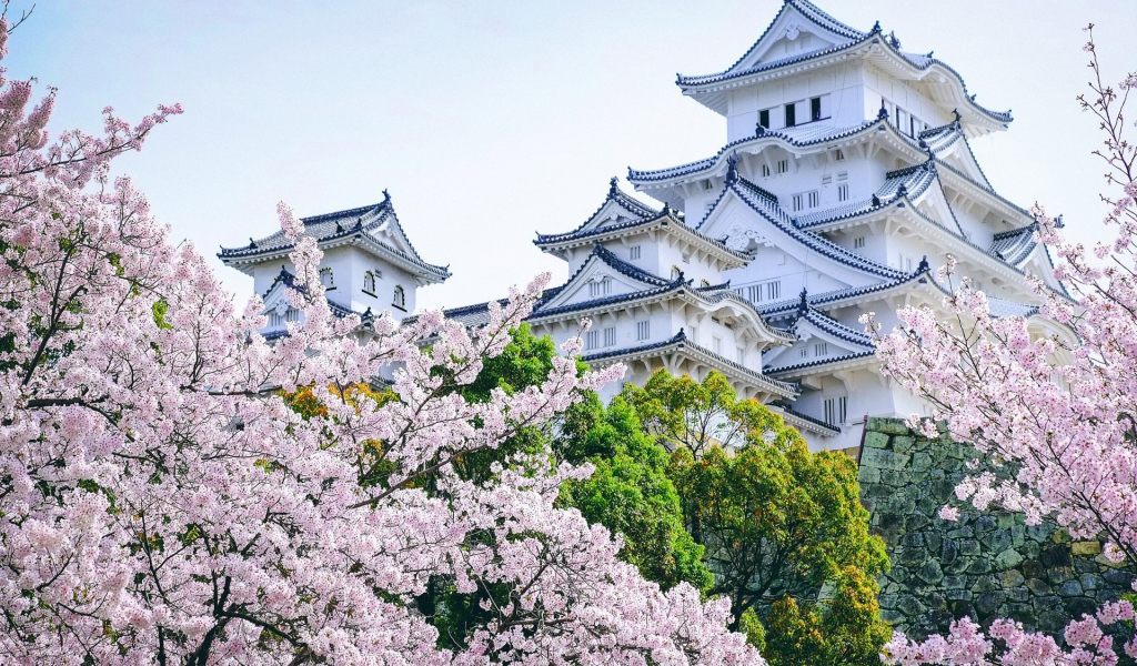 Древнейший замок Химэдзи в садах цветущей сакуры, Япония 