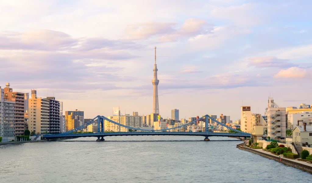 Панорама города Токио на фоне реки, Япония