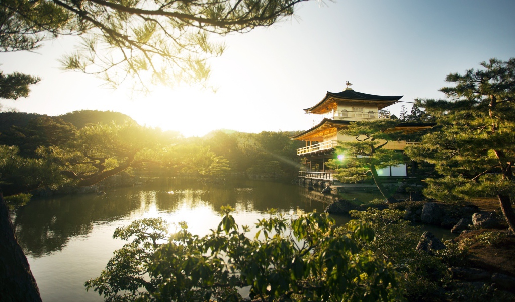 Пруд на рассвете, Япония 
