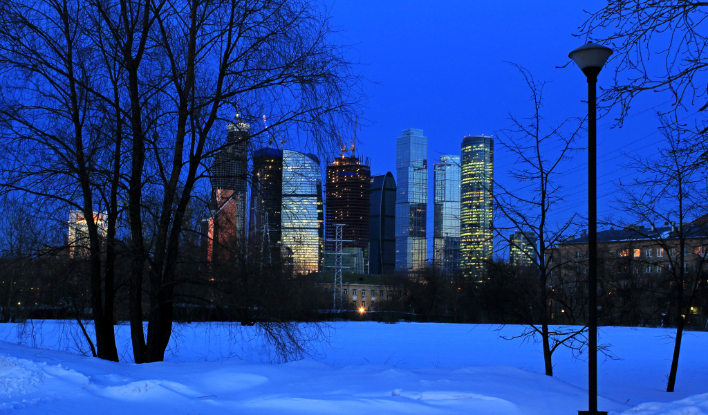 Вид на московские небоскребы из зимнего парка, Россия