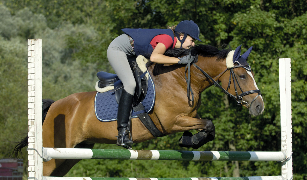 Девушка в спортивной униформе перепрыгивает через барьер на лошади