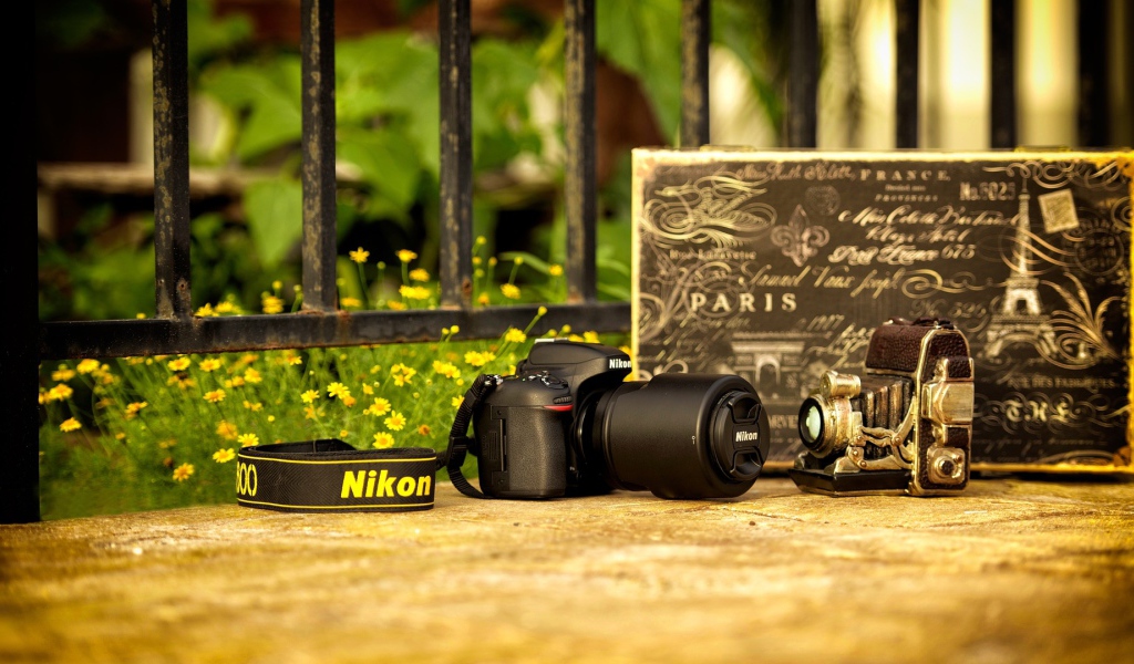 Фотоаппарат Nikon и винтажная камера 