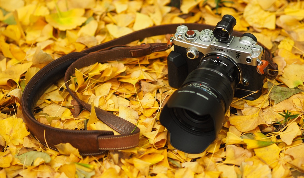 Фотоаппарат Olympus Pen-F лежит на желтой осенней листве