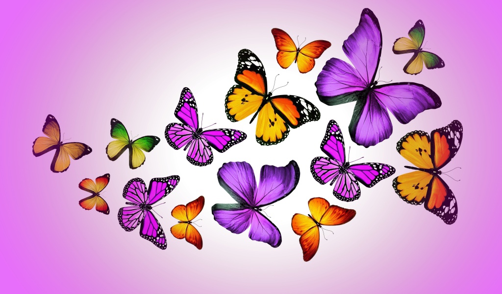 Много разноцветных бабочек на сиреневом фоне, 3д графика