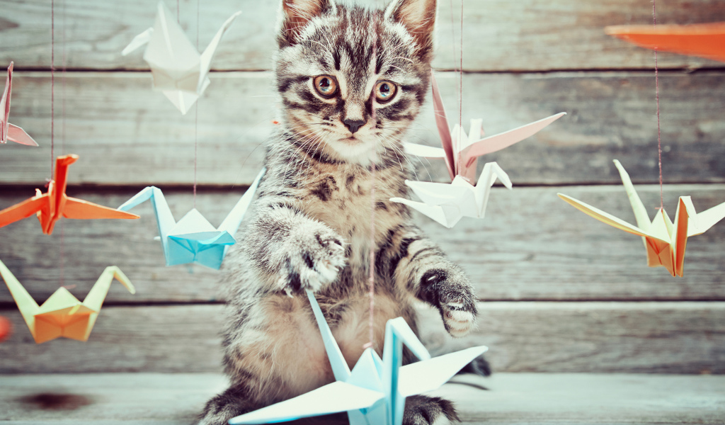 Маленький серый котенок с бумажными игрушками