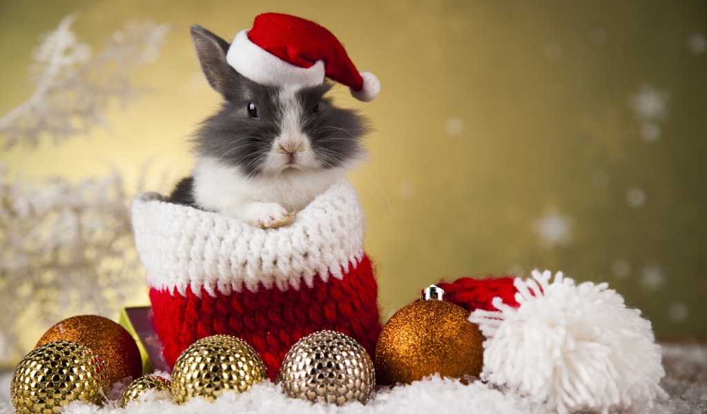 Кролик в новогодней шапке и елочными игрушками