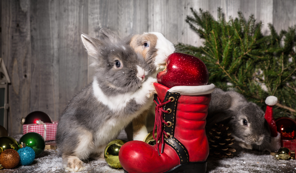 Two rabbits with a Christmas boot and spruce