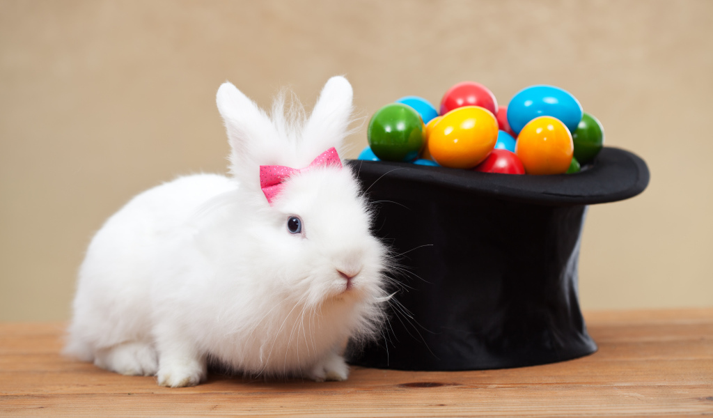Белый кролик с черным цилиндром с крашеными яйцами