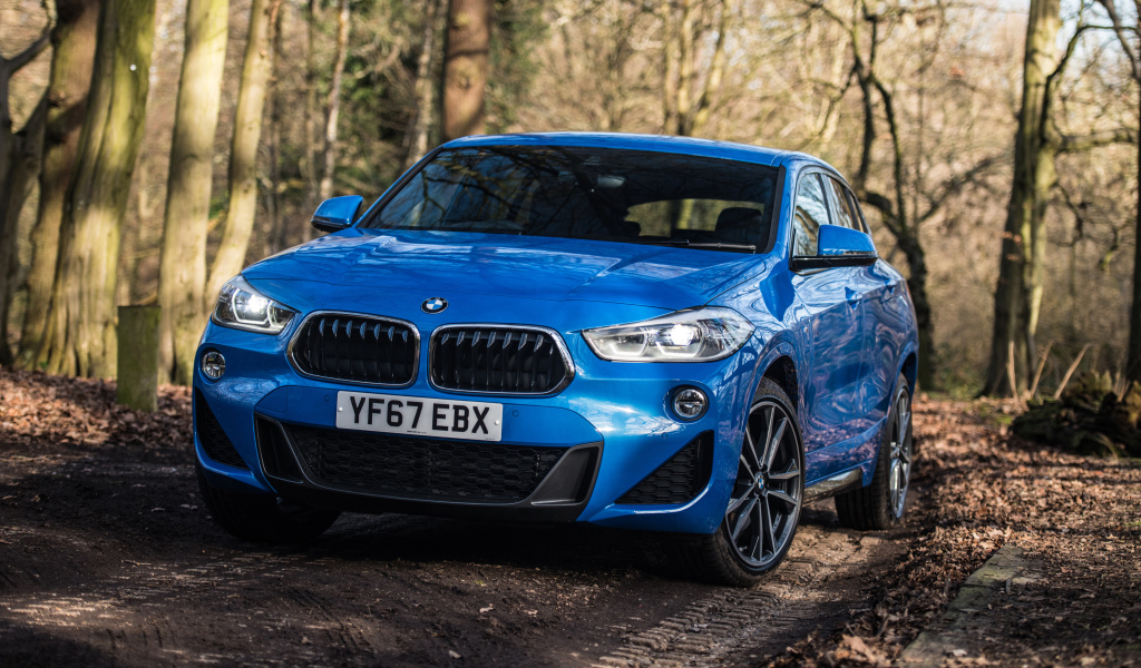 Синий автомобиль BMW X2 xDrive20d M Sport, 2018 на дороге в лесу