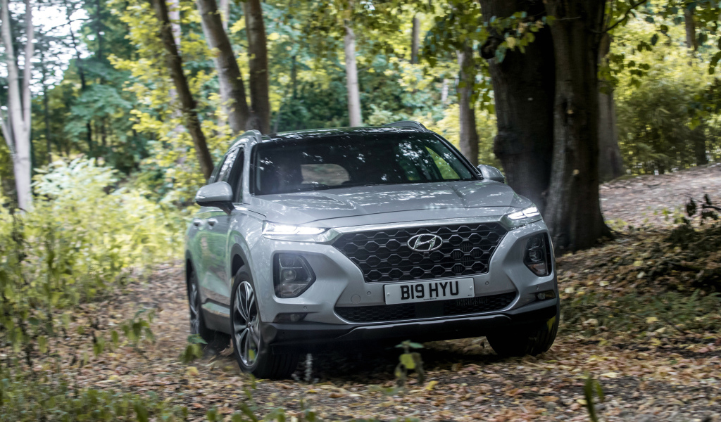 Серебристый автомобиль Hyundai Santa Fe, 2019 года в лесу