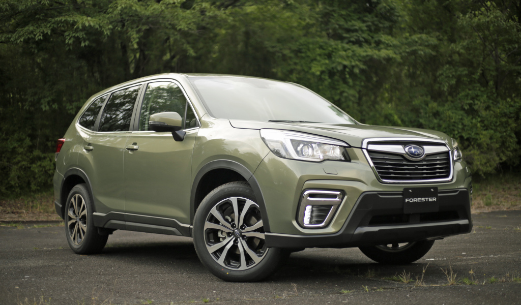 Внедорожник Subaru Forester, 2019 года в лесу