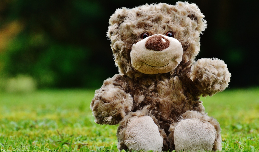 Милый плюшевый мишка сидит на зеленой траве