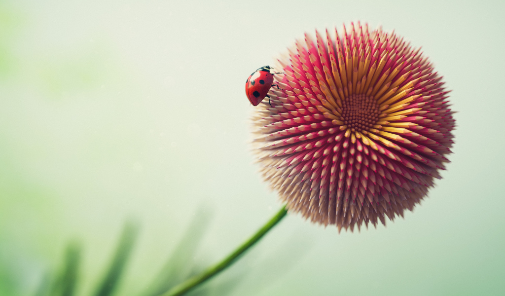 Цветок из карандашей с божьей коровкой 