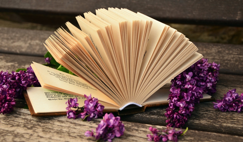 Открытая книга с сиреневыми цветами сирени