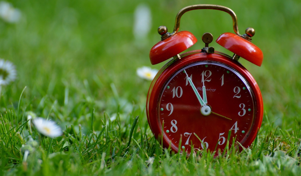 Красный будильник стоит на зеленой траве