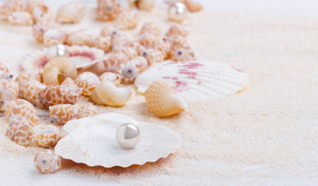 Ракушки с жемчужинами на белом песке 