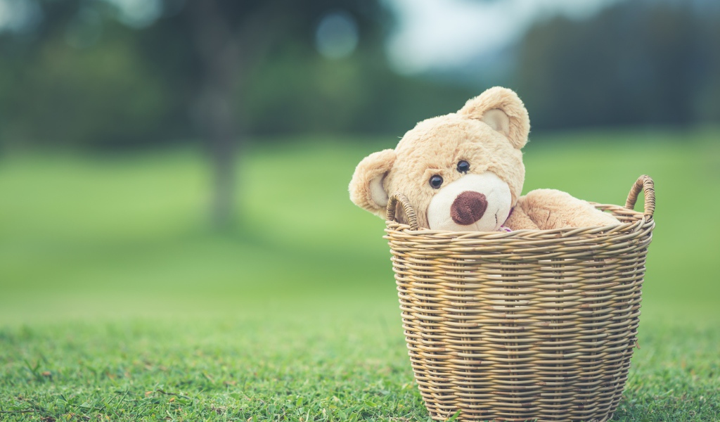 Плюшевый медведь в корзине на зеленой траве