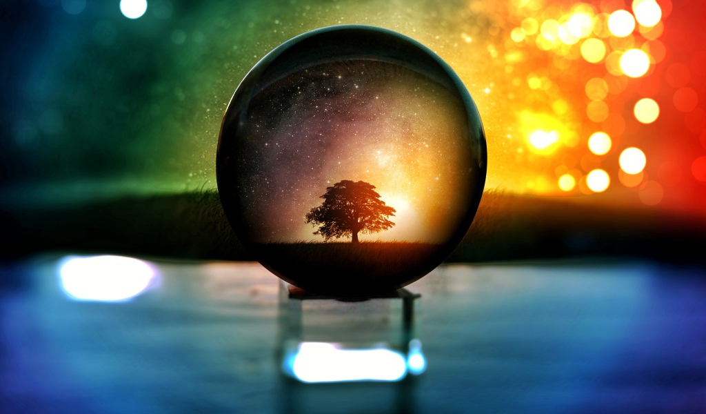 Дерево  отражается в стеклянном шаре
