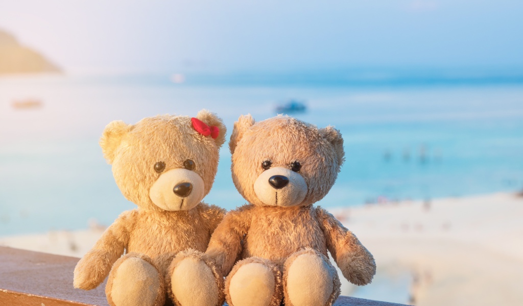 Два плюшевых медведя на фоне моря