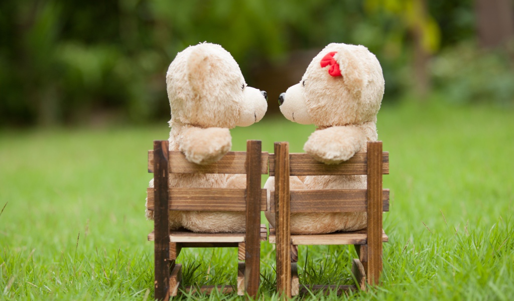 Два плюшевых мишки на деревянных креслах на зеленой траве