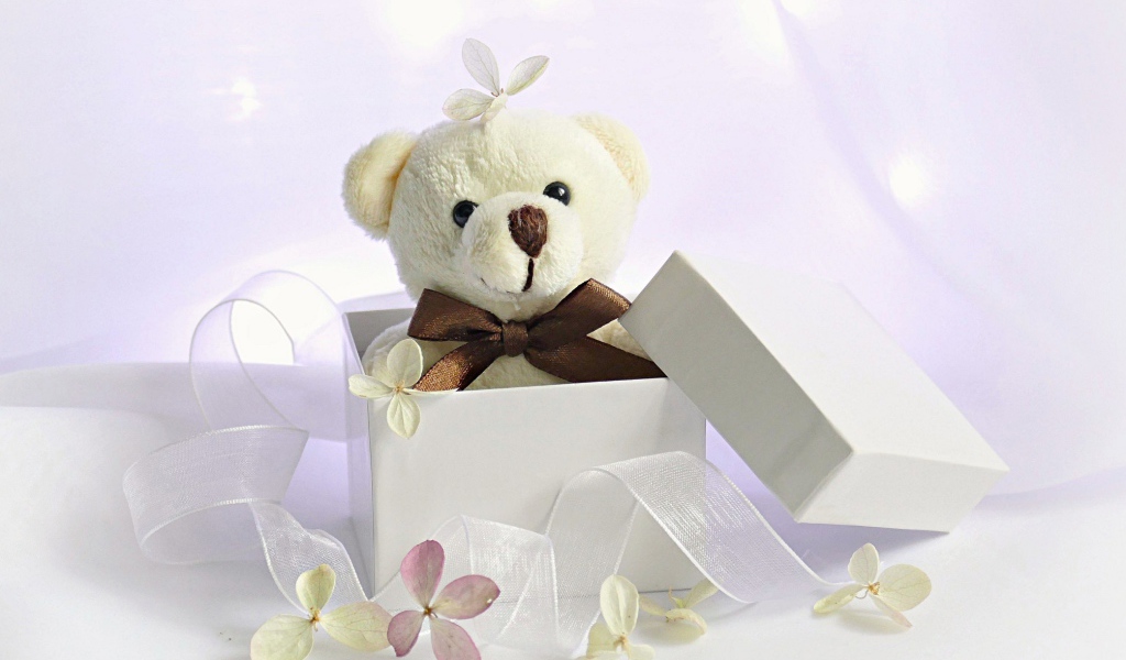 Белый плюшевый медведь в подарочной коробке