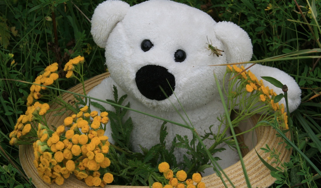 Белый плюшевый медведь в зеленой траве с цветами пижмы 