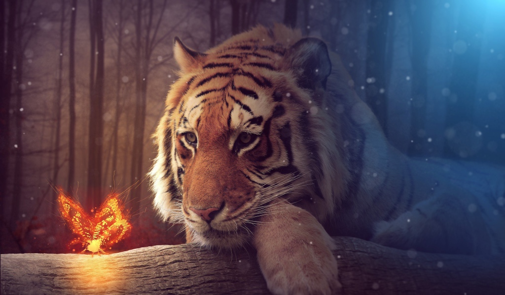 Большой тирг с волшебной огненной бабочкой, фэнтези