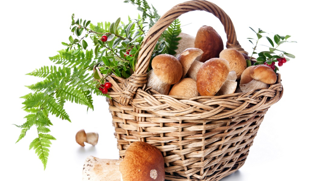 Большая корзина грибов с ягодами на белом фоне