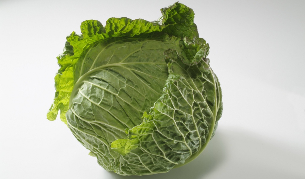 Зеленый кочан капусты на сером фоне 