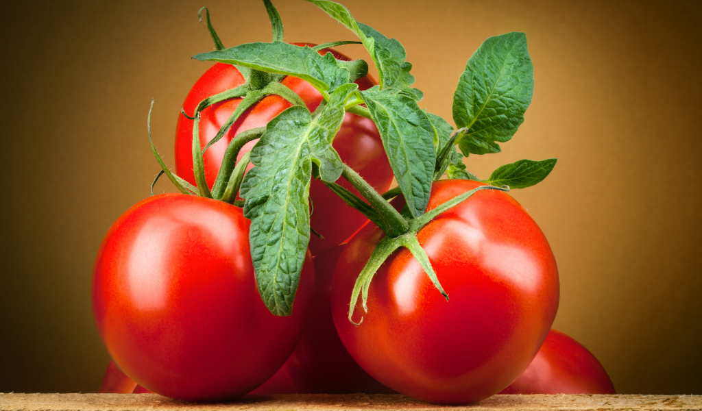 Large ripe red tomatoes with green leaves