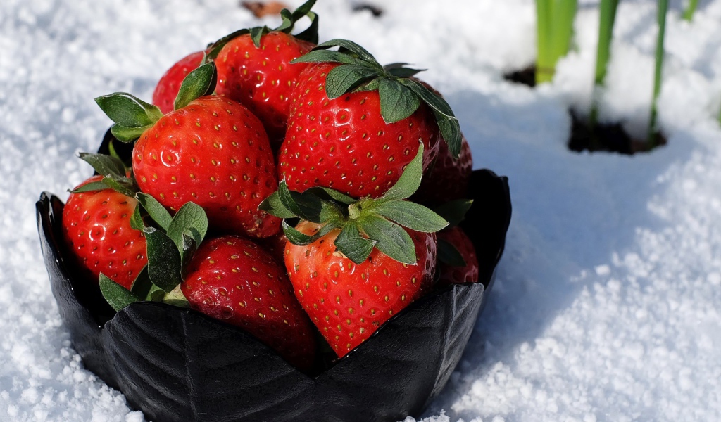 Тарелка со спелой красной клубникой стоит на белом снегу