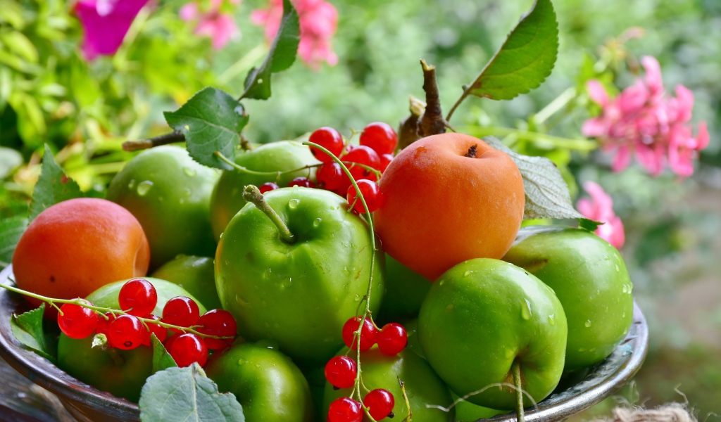 Красивые зеленые яблоки с красной смородиной и абрикосами