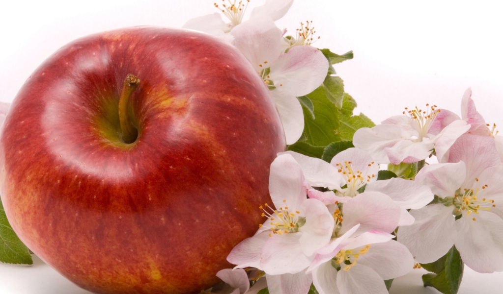 Большое красное яблоко с цветами на белом фоне