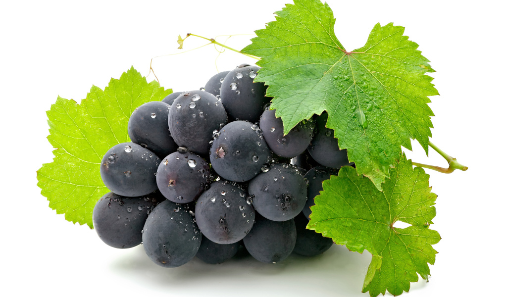 Синий виноград с зелеными листьями на белом фоне