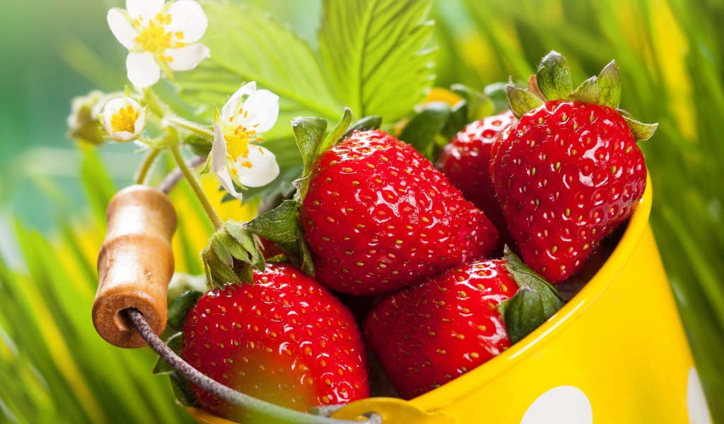 Красная клубника с белыми цветами 