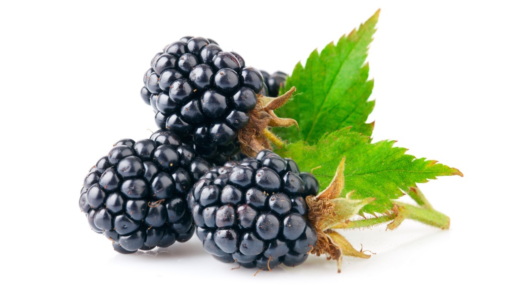 Спелые сочные ягоды ежевики на белом фоне