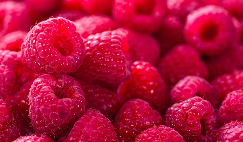 Спелая сочная малина крупным планом