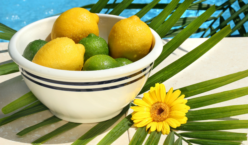 Желтые лимоны и зеленые лаймы в каплях воды на столе с пальмовым листом и цветком герберы