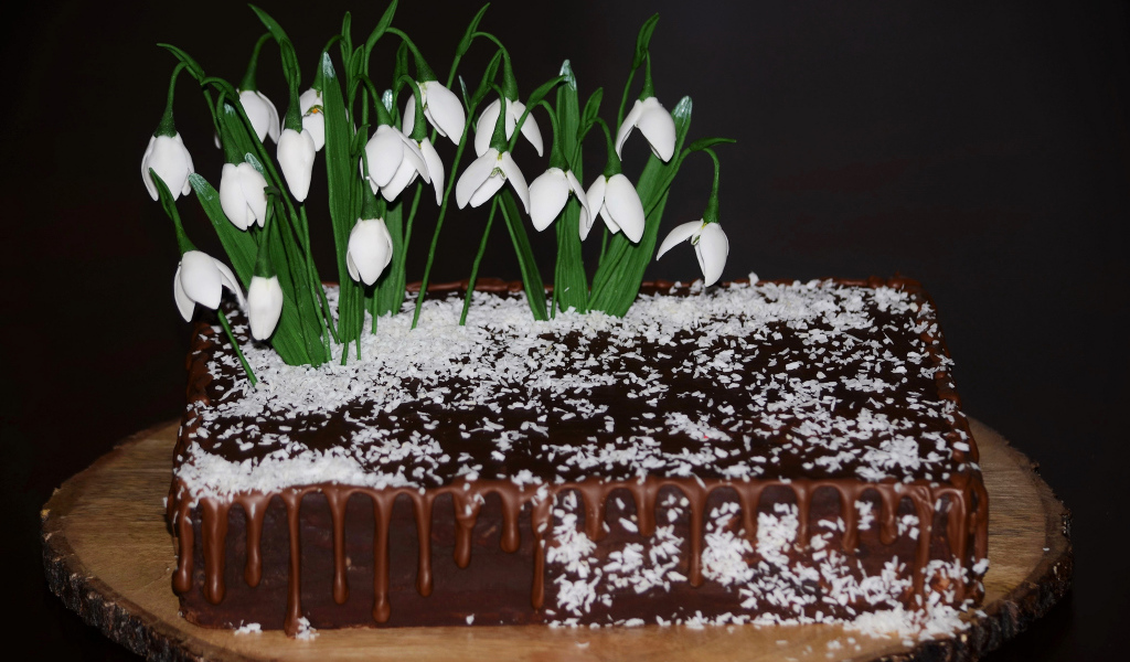 Шоколадный торт с кокосовой стружкой и цветами подснежника