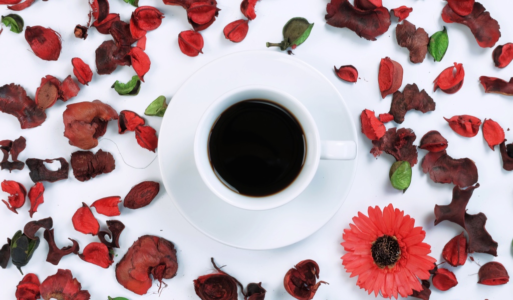 Чашка кофе на белой поверхности с сухими лепестками 