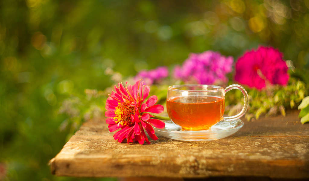 Glass cup of tea on a table with a flower of zinnia