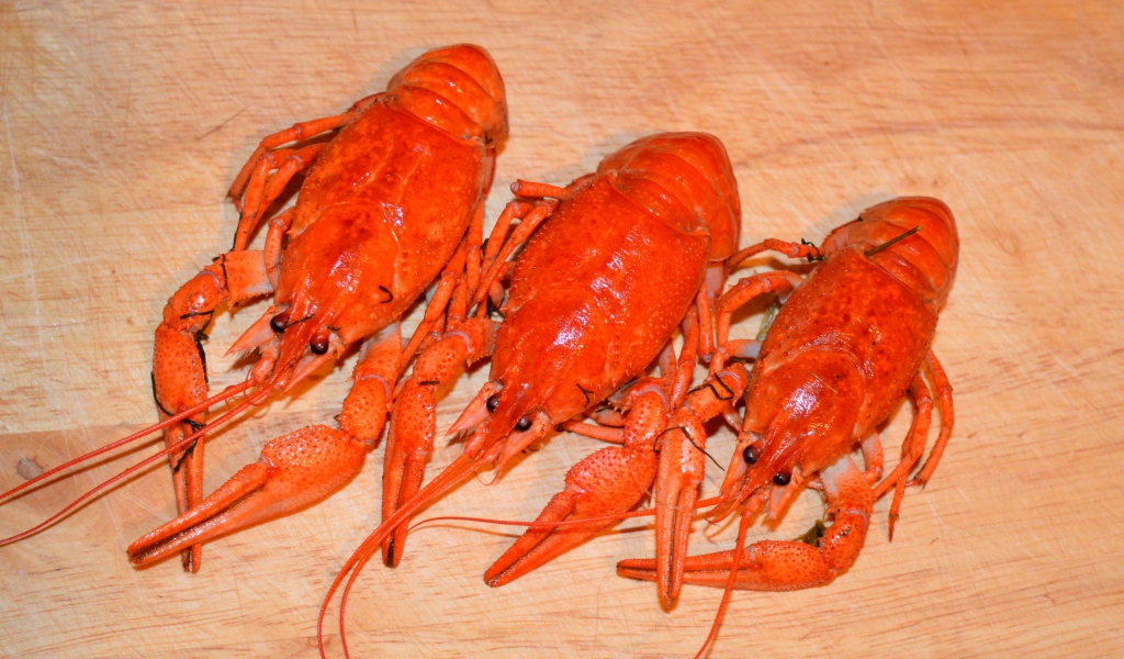 Три красных вареных рака лежат на деревянном столе
