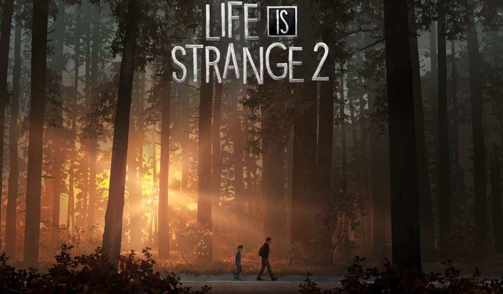 Постер компьютерной игры Life Is Strange 2, 2018